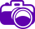 Grape-camera-icon-md